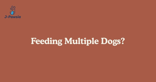 Feeding multiple dogs slow feeder tips - blog cover