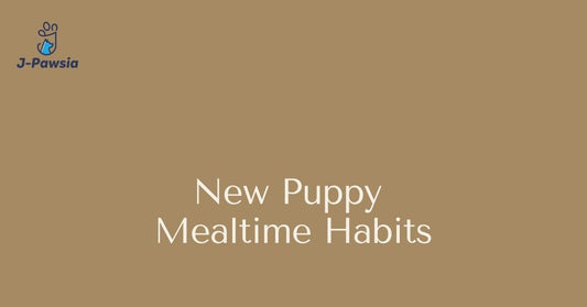 New puppy owner mealtime habits guide - blog cover