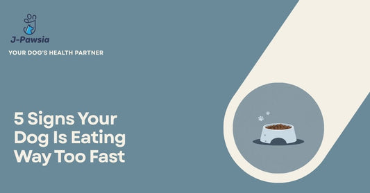 Guide to signs a dog may be eating too fast and when to contact a veterinarian