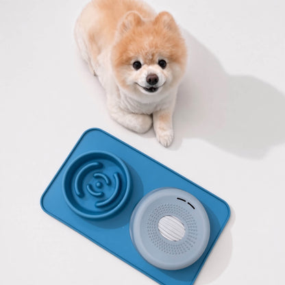 2-in-1 Slow Feed Mealtime Station