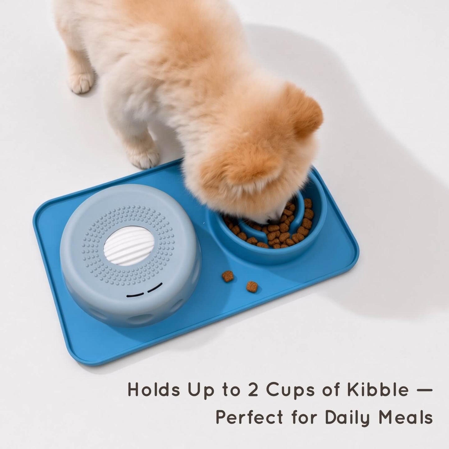2-in-1 Slow Feed Mealtime Station