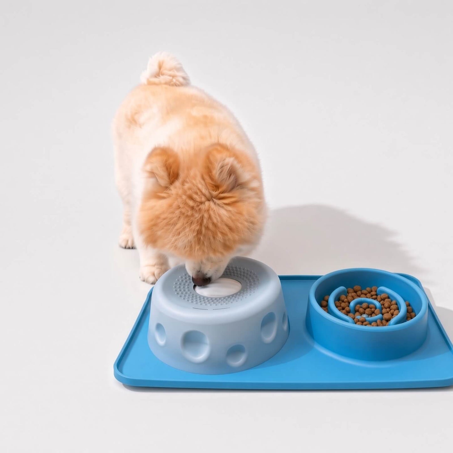 2-in-1 Slow Feed Mealtime Station