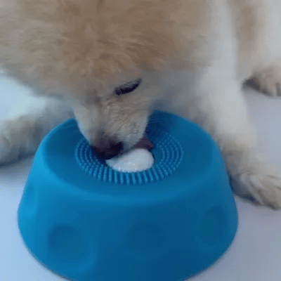 J-Pawsia Lick and Roll Bowl for dog treat enrichment